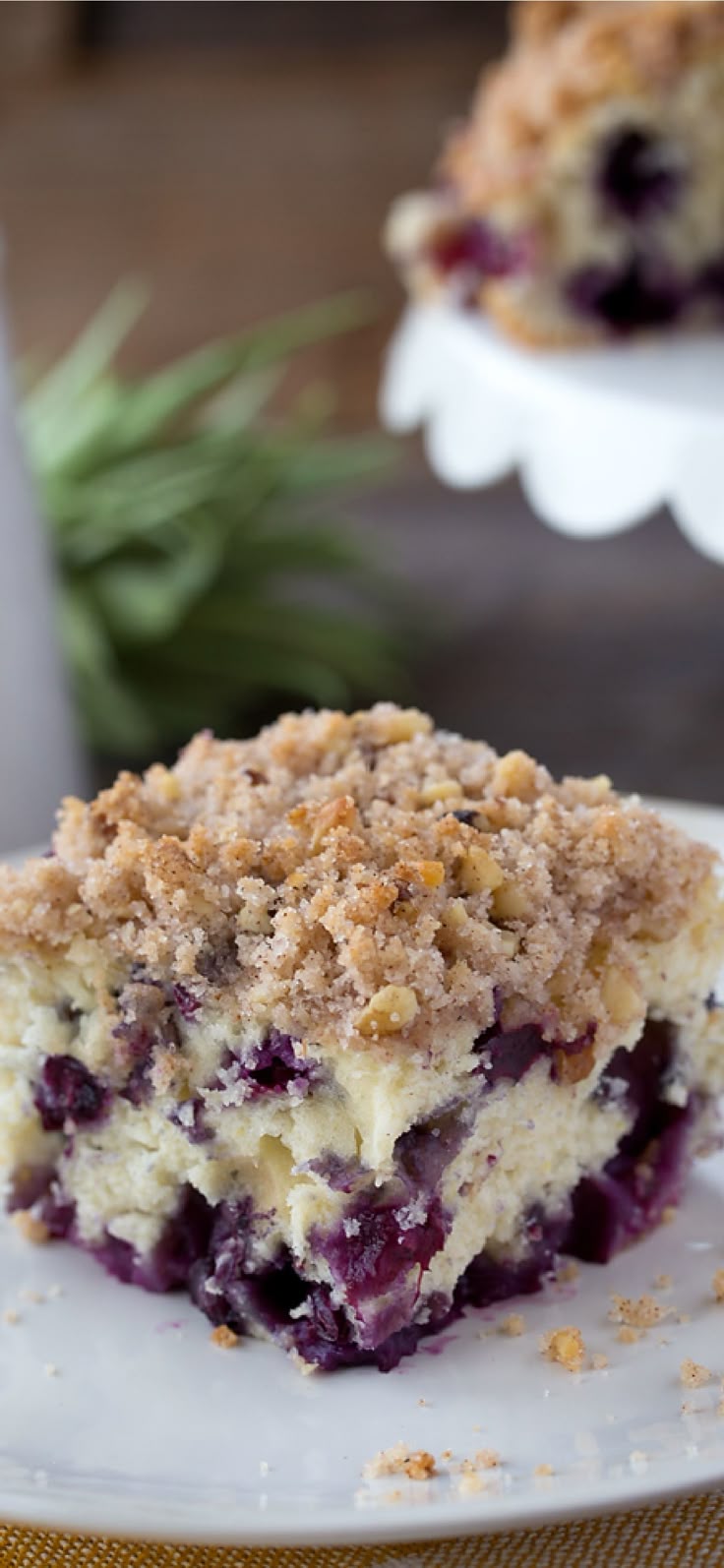 Blueberry Coffee Cake